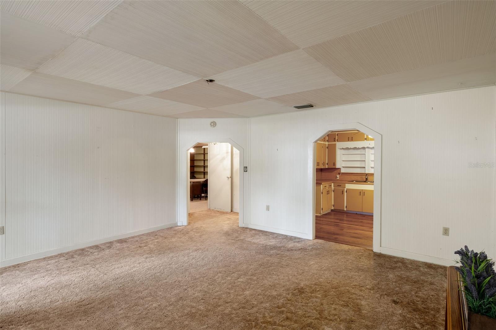 SNOW CAPS - Residential