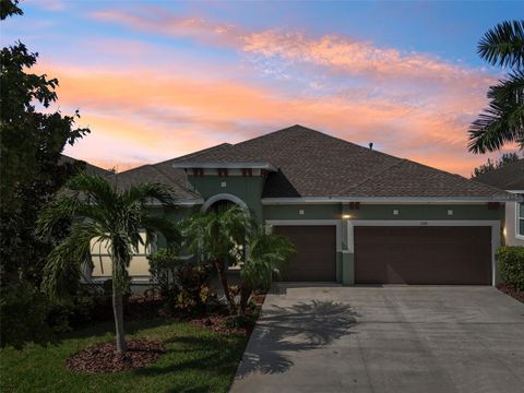 A home in APOLLO BEACH