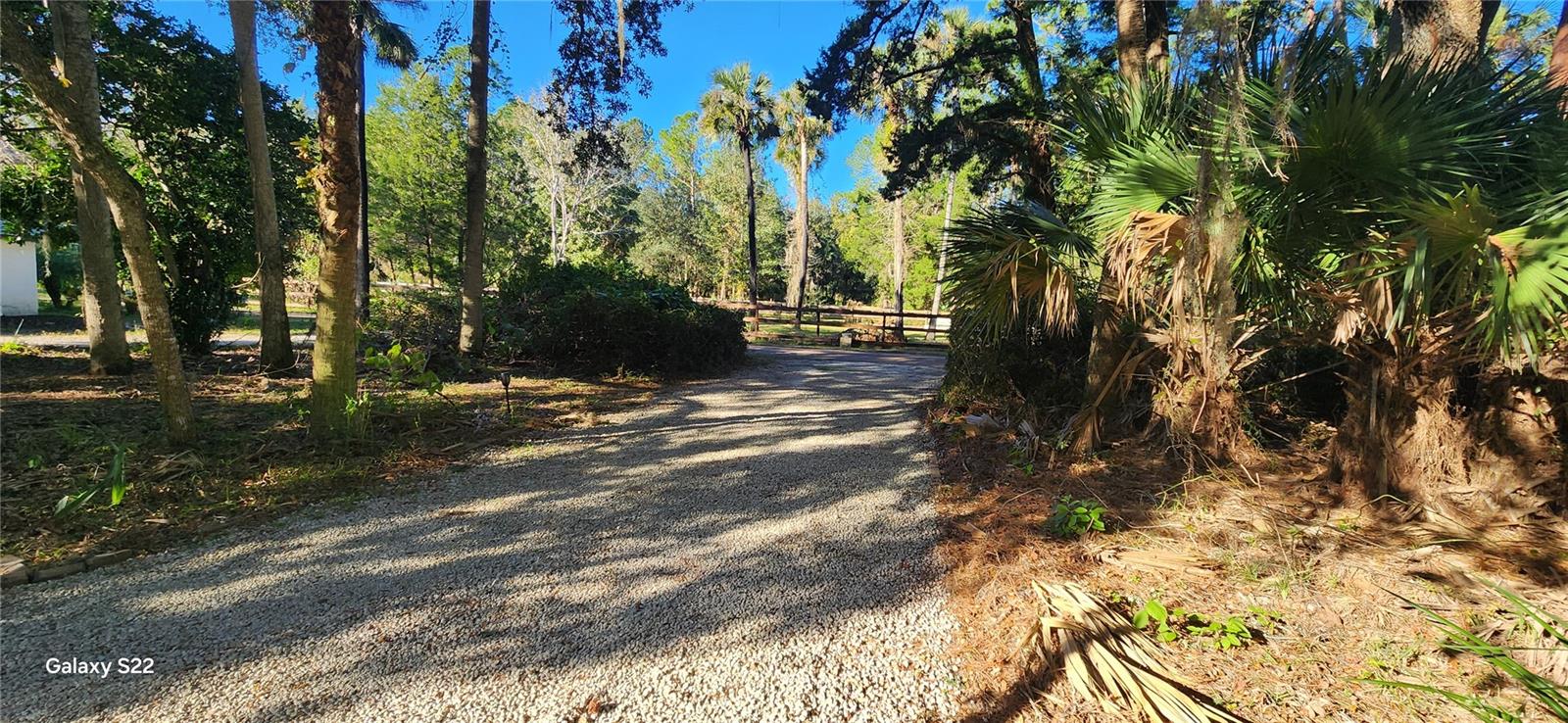 BUNNELL DEV COMPANYS - Land