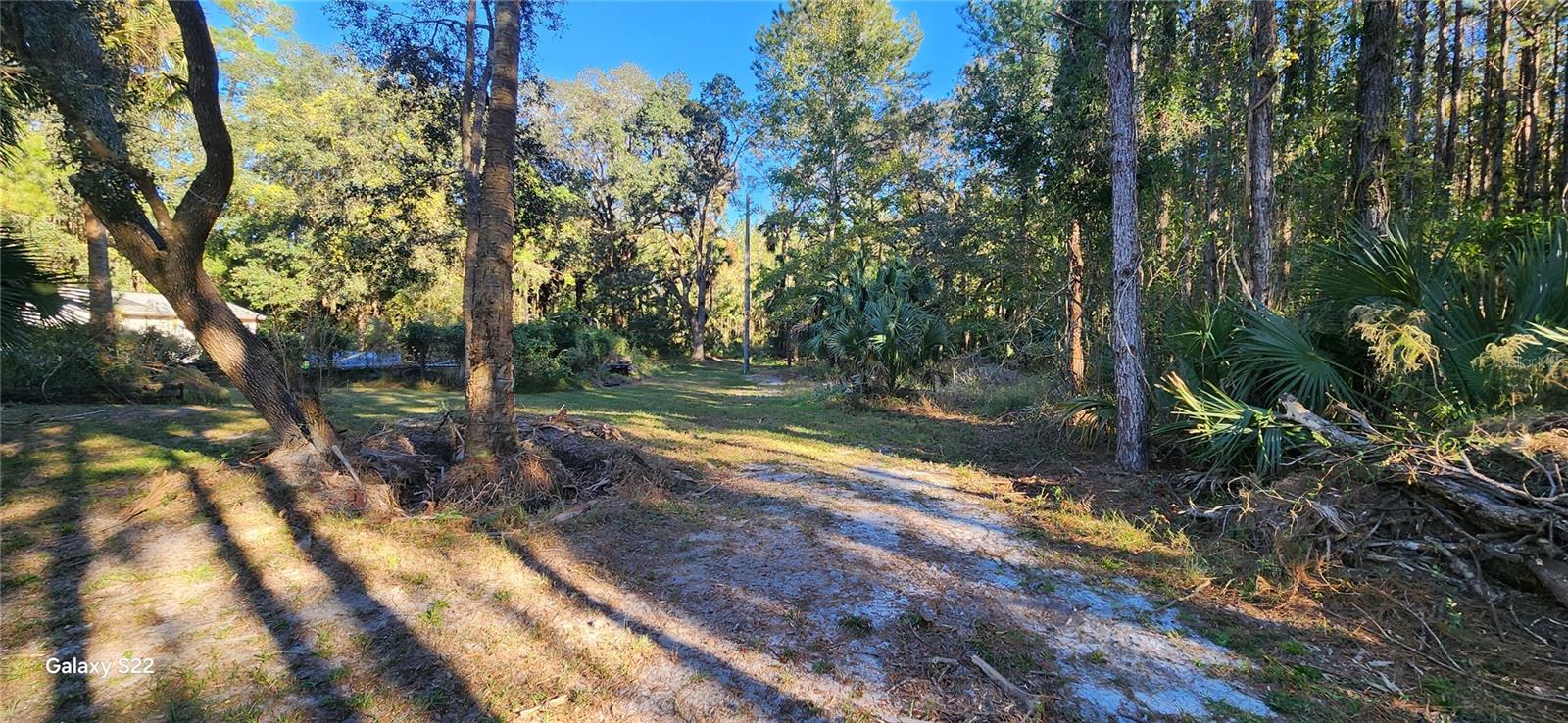 BUNNELL DEV COMPANYS - Land