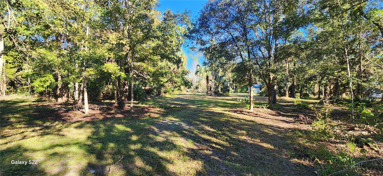 BUNNELL DEV COMPANYS - Land