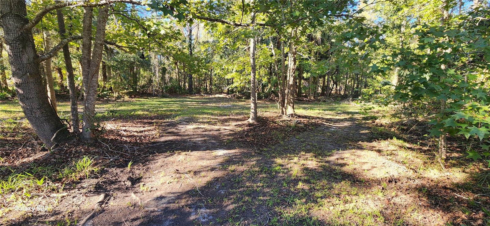 BUNNELL DEV COMPANYS - Land