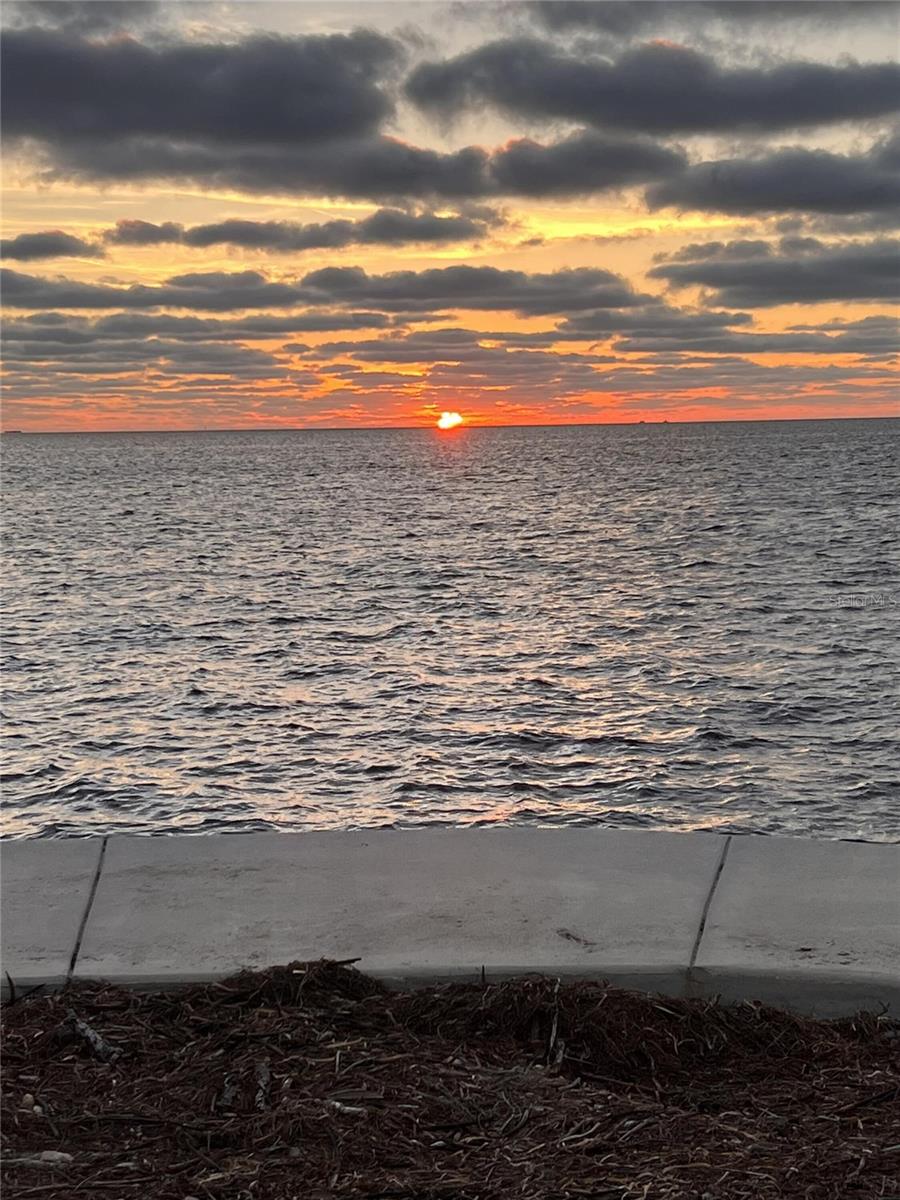 FLOR A MAR REP - Residential