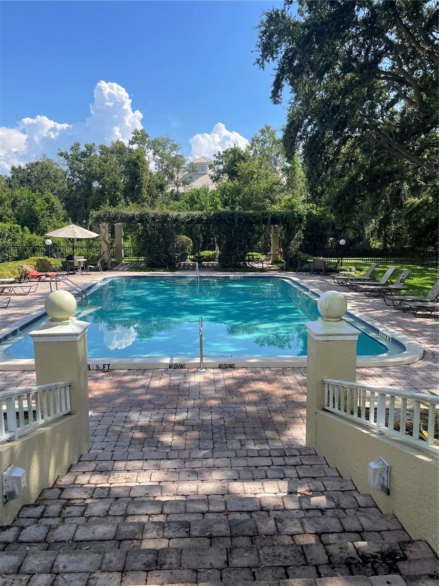 MEADOWLAKE PALM HARBOR CONDO - Residential