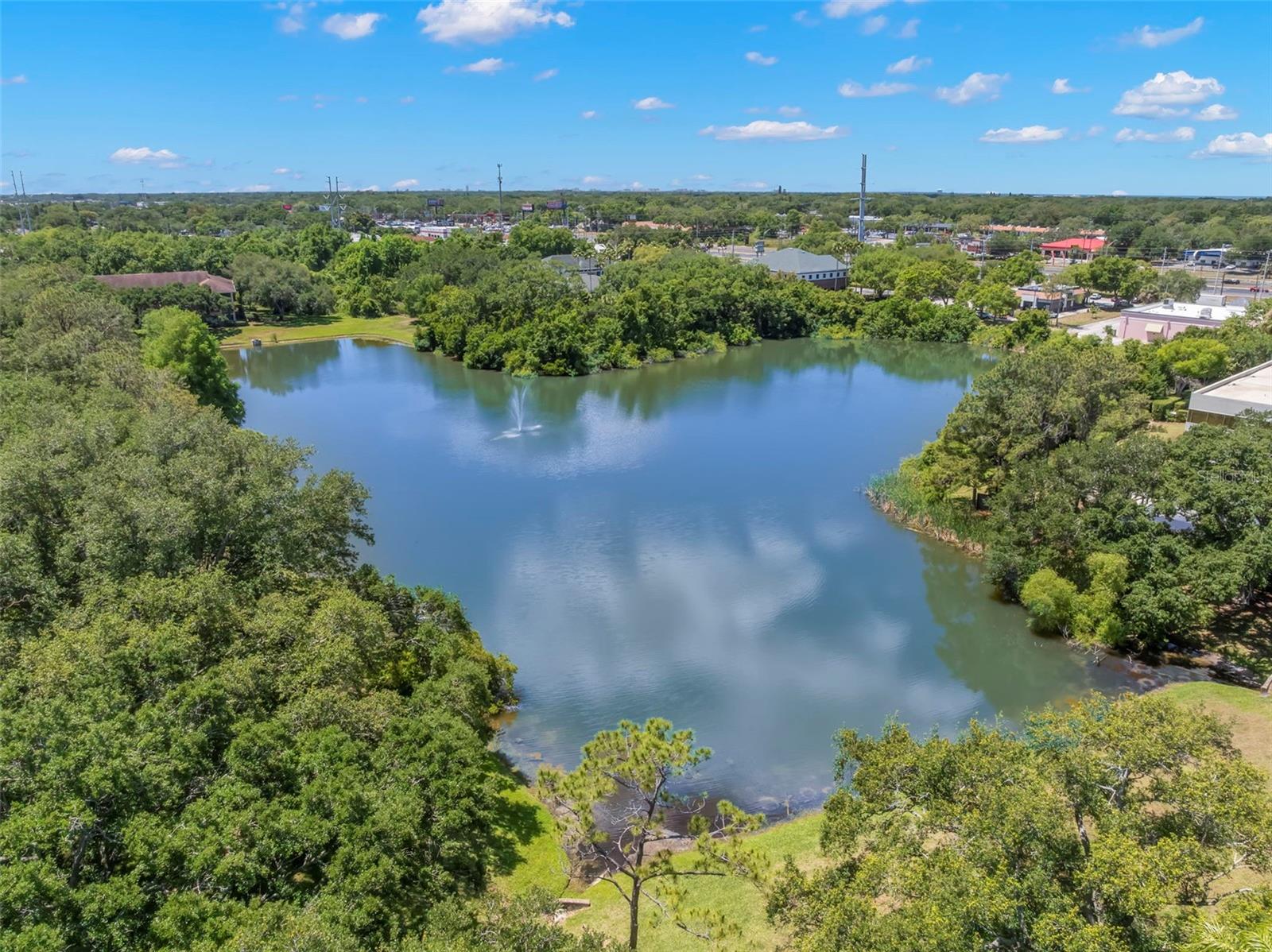 MEADOWLAKE PALM HARBOR CONDO - Residential