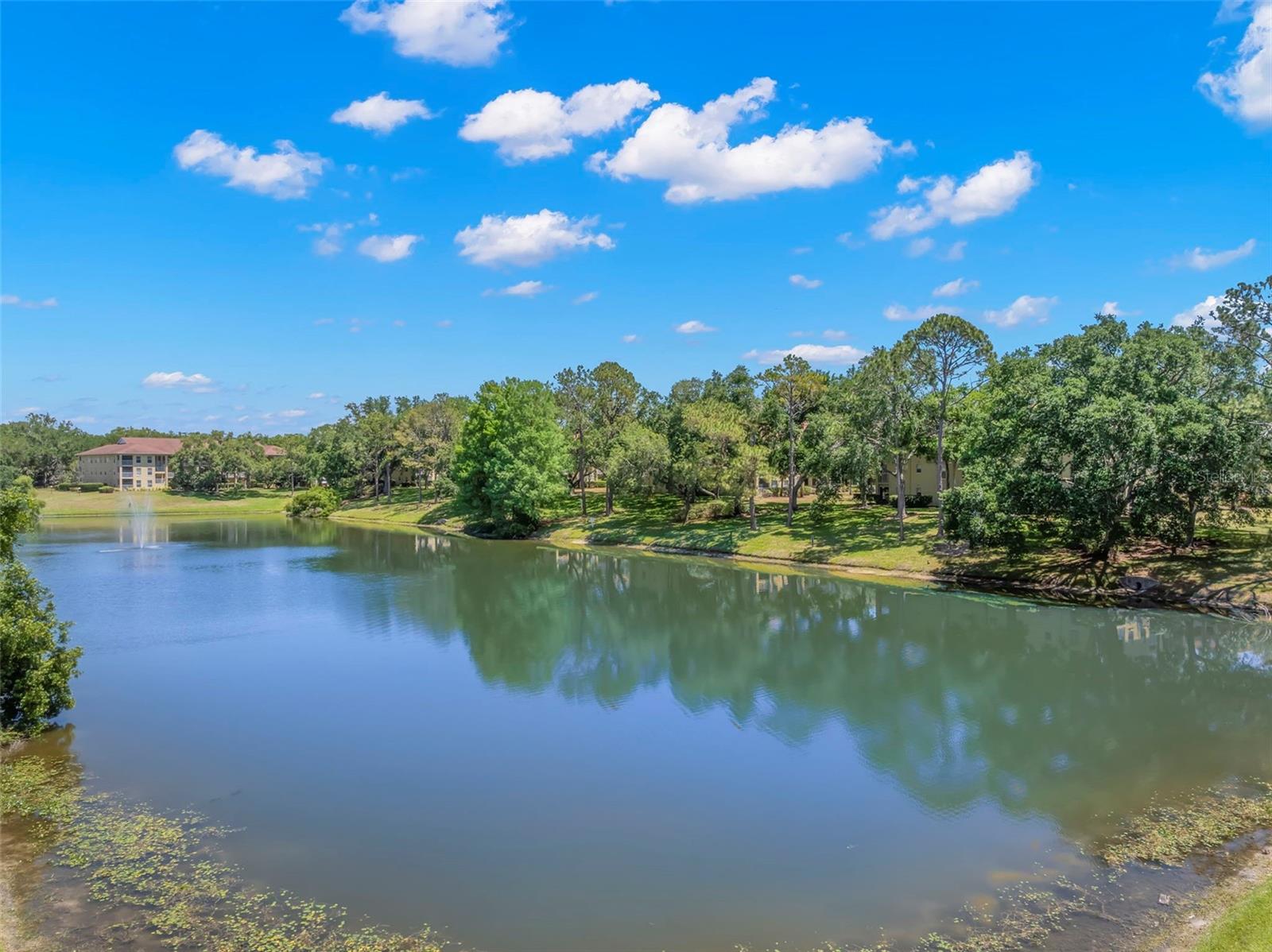 MEADOWLAKE PALM HARBOR CONDO - Residential