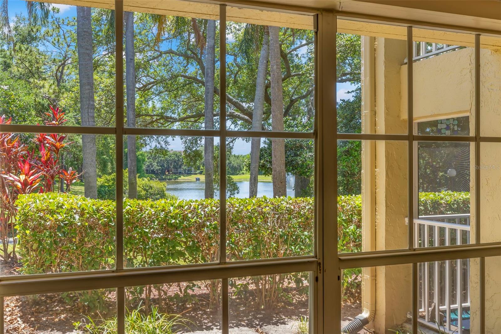 MEADOWLAKE PALM HARBOR CONDO - Residential