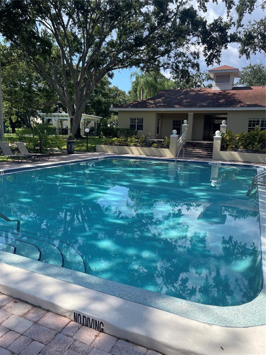 MEADOWLAKE PALM HARBOR CONDO - Residential