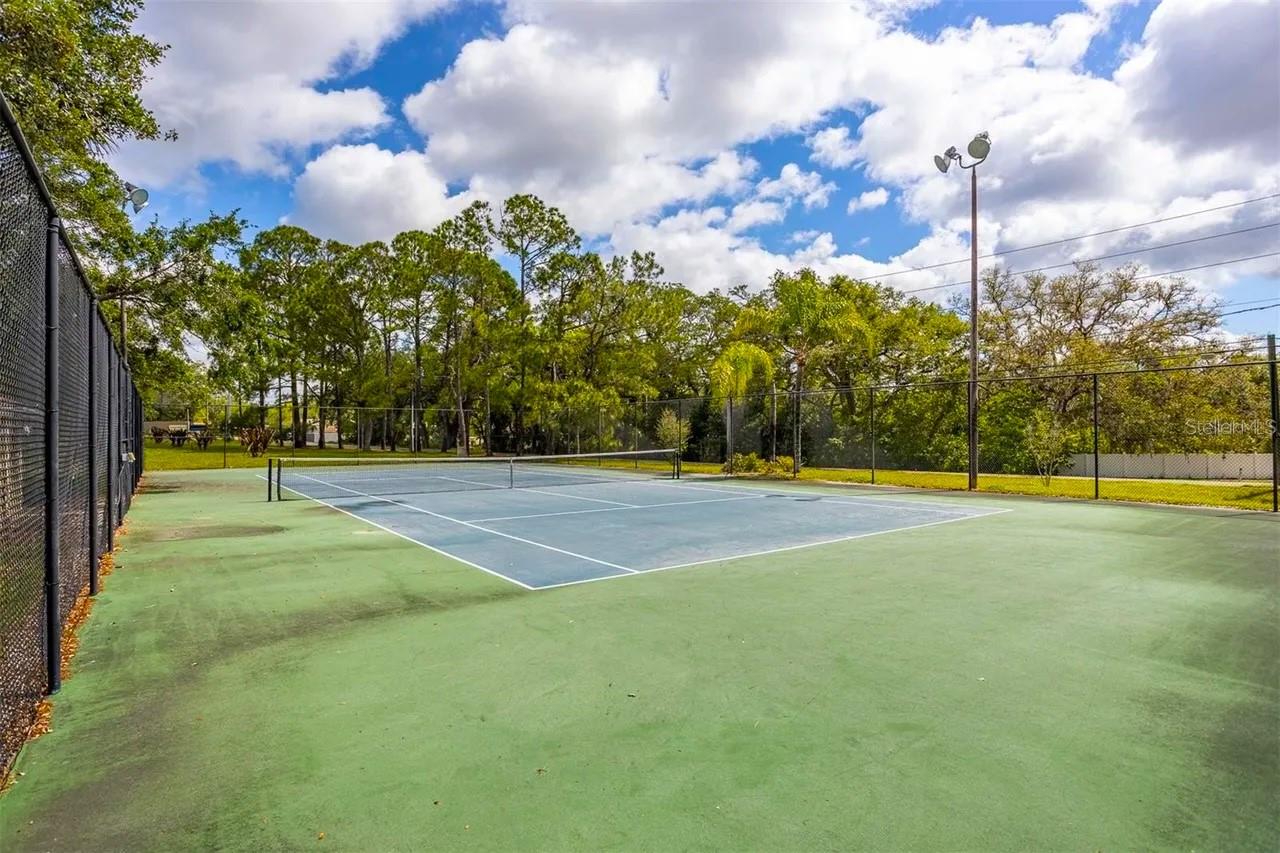 MEADOWLAKE PALM HARBOR CONDO - Residential
