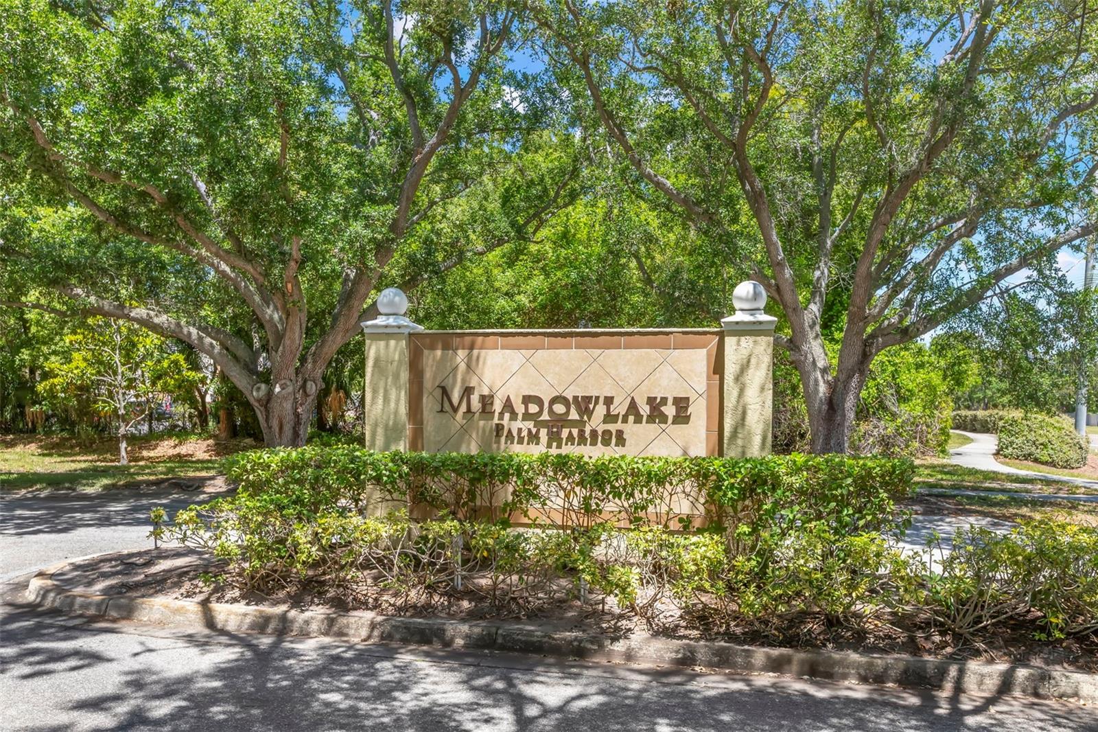 MEADOWLAKE PALM HARBOR CONDO - Residential