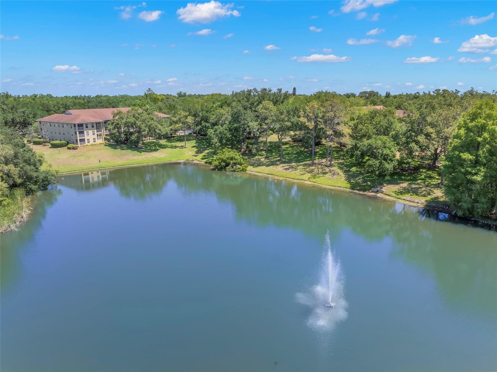 MEADOWLAKE PALM HARBOR CONDO - Residential