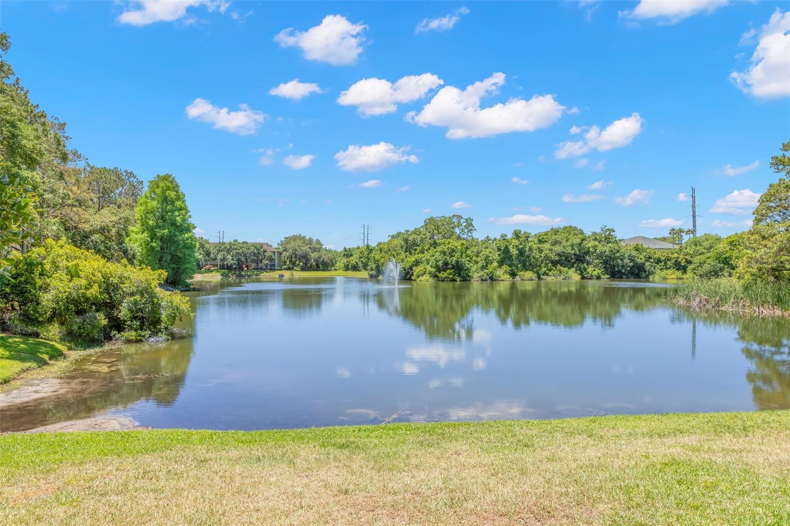 MEADOWLAKE PALM HARBOR CONDO - Residential