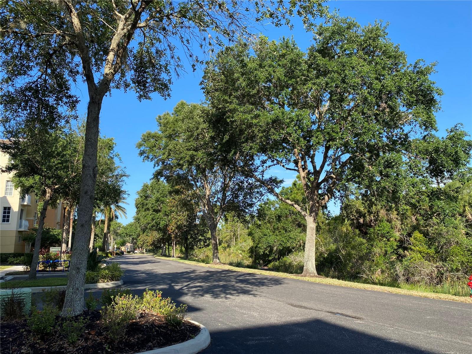 WATERCREST PH 2 - Residential Lease