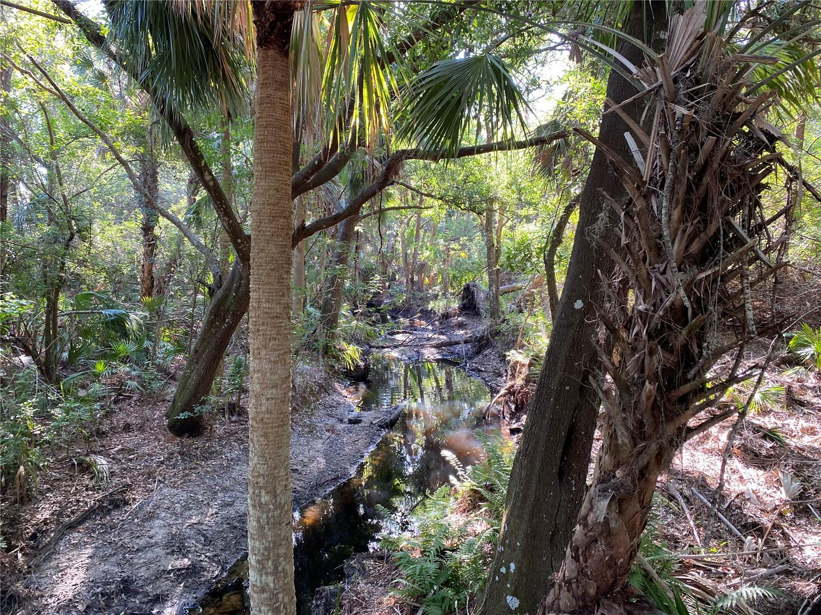 WATERCREST PH 2 - Residential Lease