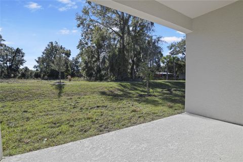 A home in DELAND