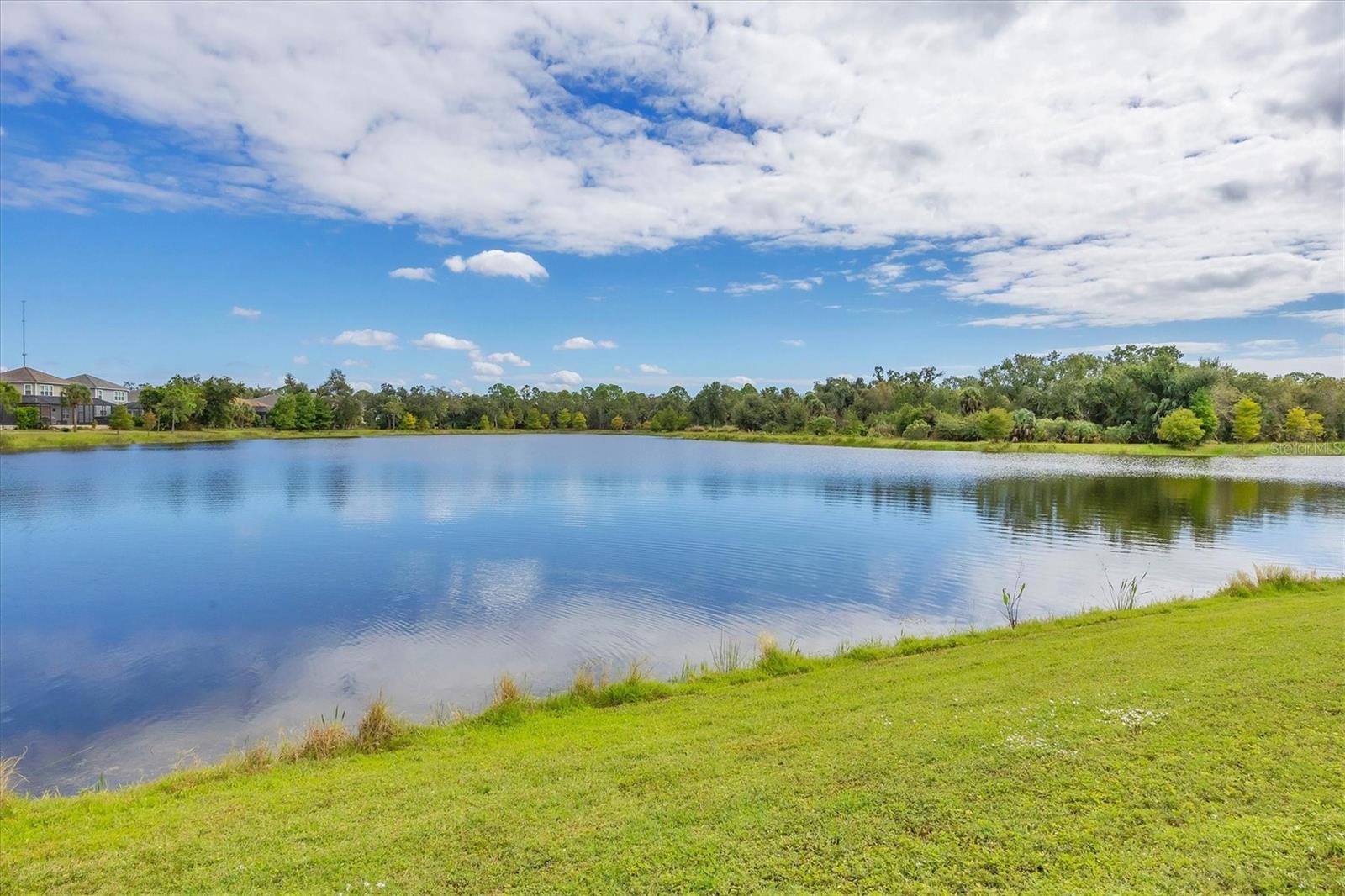 GRAND PALM - Residential