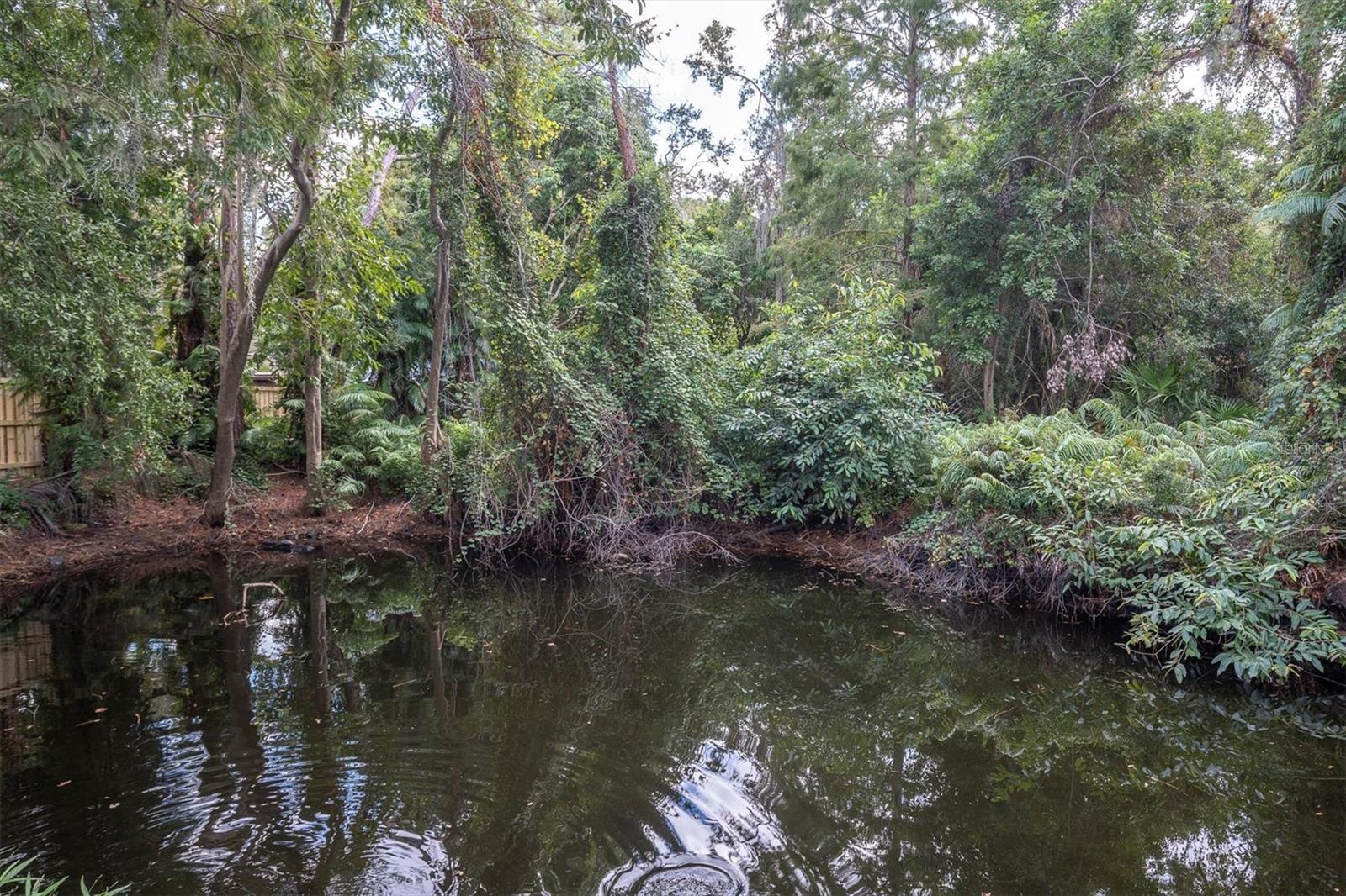 PINELLAS GROVES - Residential