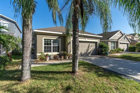 A home in RIVERVIEW