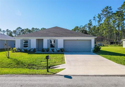 A home in PALM COAST