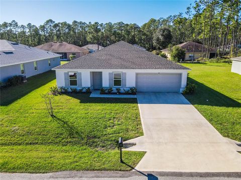 A home in PALM COAST