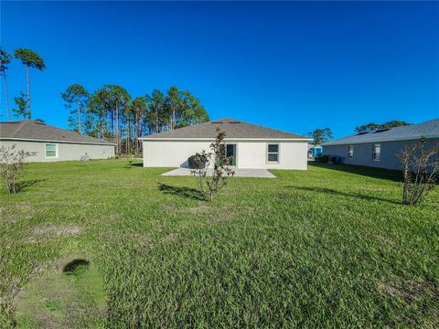 A home in PALM COAST