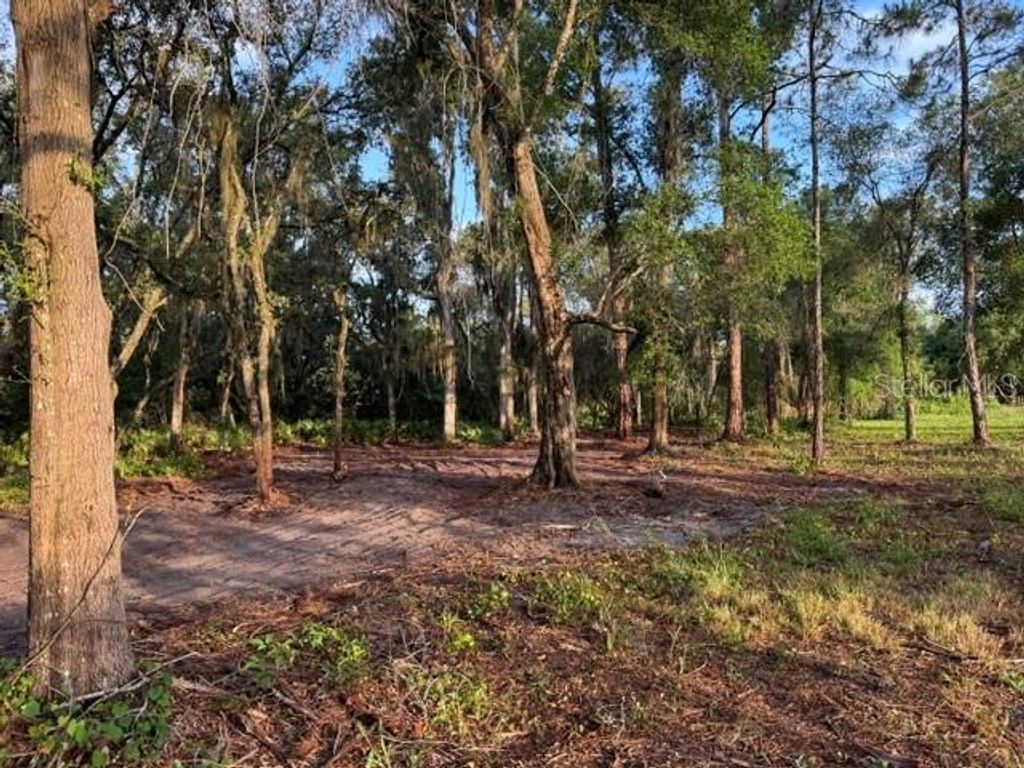 Photo of Spring Garden Ranch Rd, De Leon Springs, FL 32130 (MLS # V4949100)