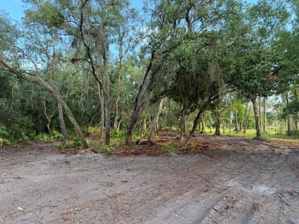 Photo of Spring Garden Ranch Rd, De Leon Springs, FL 32130 (MLS # V4949100)