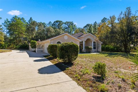 Tiny photo for 4930 W Pinto Loop, Beverly Hills, FL 34465 (MLS # W7881138)