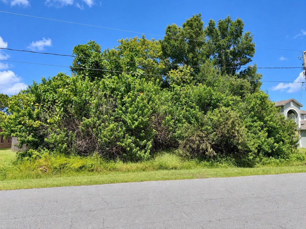 Photo of 1005 Cannes Drive, Kissimmee, FL 34759 (MLS # O6443326)