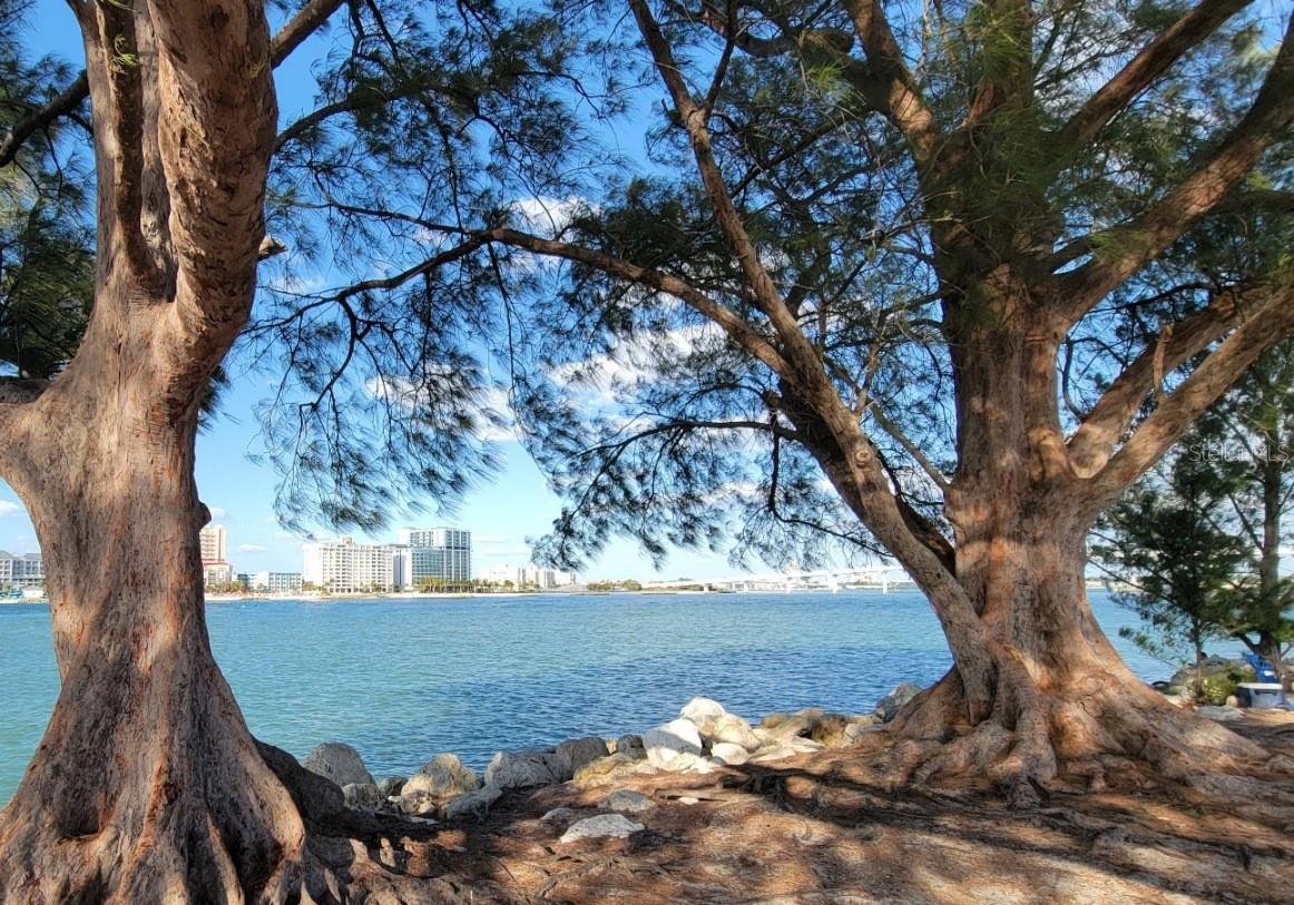 ENCHANTMENT CLEARWATER BEACH HOTEL CONDO - Residential