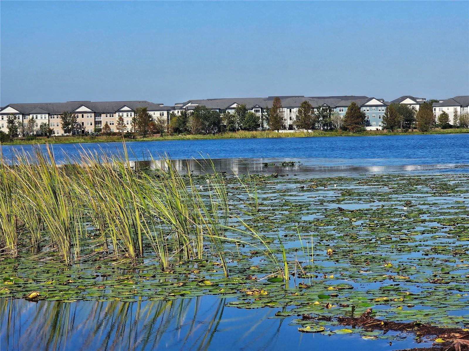 JAMAJO - Residential