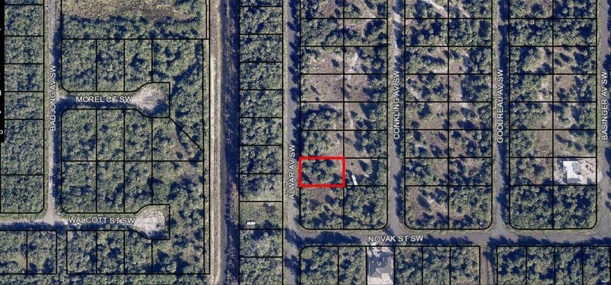 Perfect for investors, builders, or anyone dreaming of sunny Florida living. Whether you’re planning a primary residence, vacation home, or long-term investment, this lot is a blank canvas with endless potential