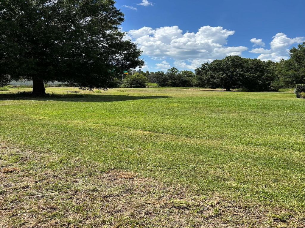 Photo of 16915 Leclare Groves Way, Lutz, FL 33558 (MLS # TB8420912)