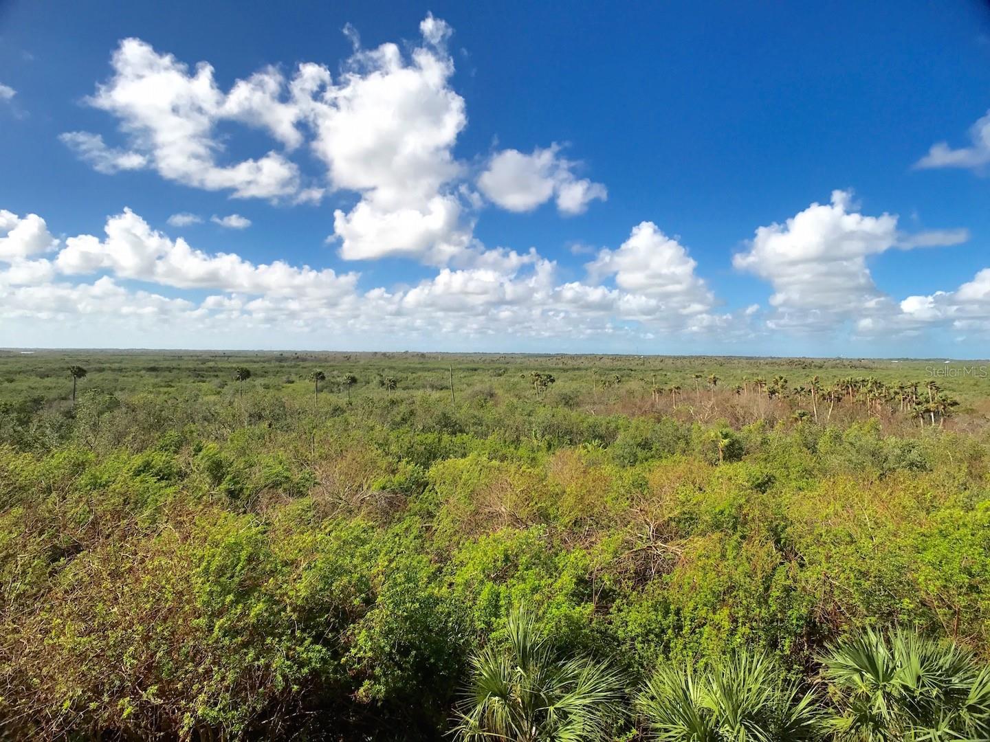 Ocean Walk/New Smyrna Beach - Residential