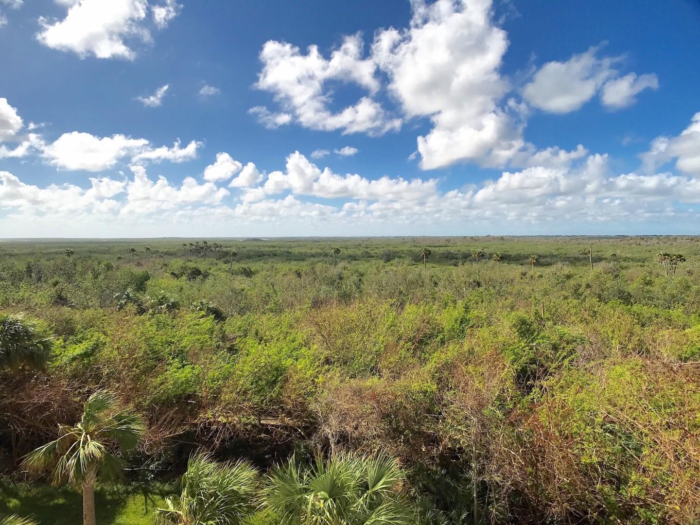 Ocean Walk/New Smyrna Beach - Residential