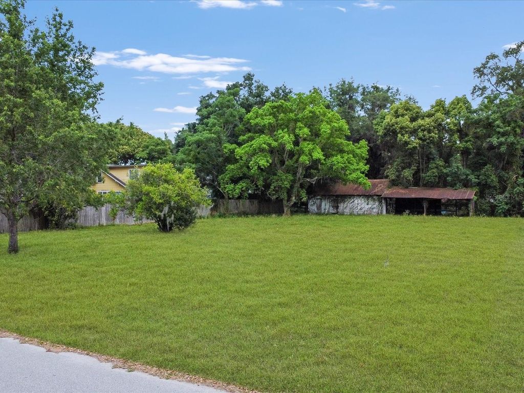 Photo of 101 W Griffin Street, Fruitland Park, FL 34731 (MLS # S5144309)