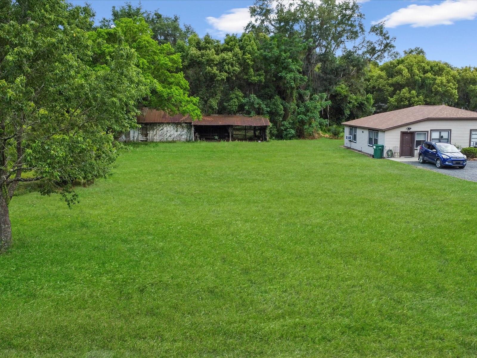 FRUITLAND PARK STINSONS REP - Land