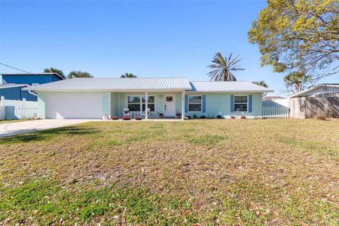 A home in FLAGLER BEACH