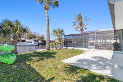 A home in FLAGLER BEACH