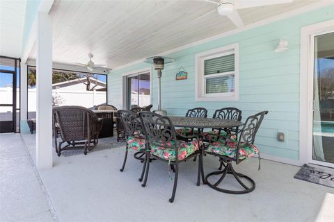 A home in FLAGLER BEACH