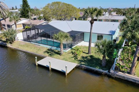 A home in FLAGLER BEACH