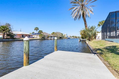 A home in FLAGLER BEACH