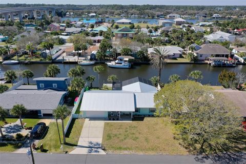 A home in FLAGLER BEACH