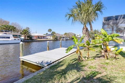 A home in FLAGLER BEACH