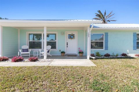 A home in FLAGLER BEACH