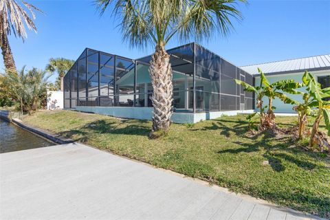 A home in FLAGLER BEACH