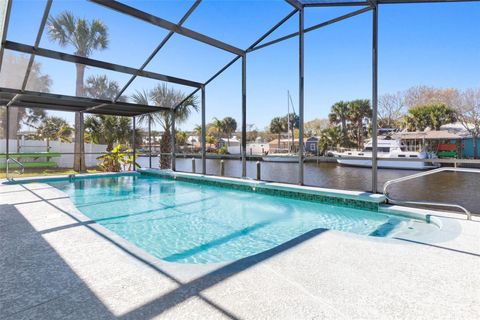 A home in FLAGLER BEACH