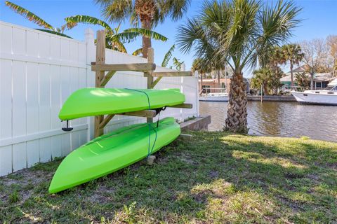 A home in FLAGLER BEACH