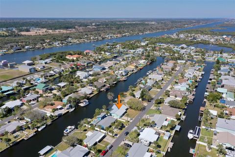 A home in FLAGLER BEACH