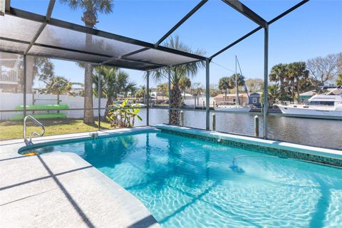 A home in FLAGLER BEACH